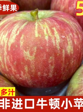 牛顿南非60脆甜富士新鲜