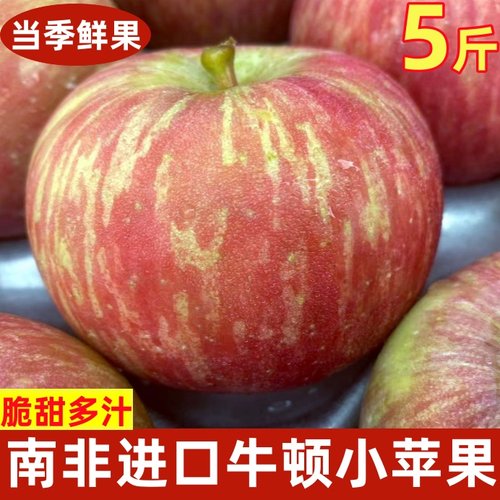 牛顿南非60脆甜富士新鲜