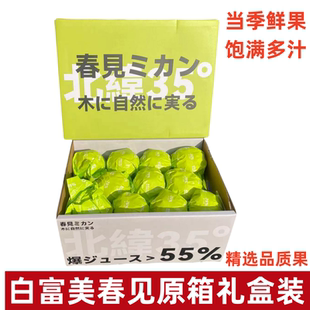 白富美春见粑粑柑原箱礼盒8斤静冈种源新鲜水果纯甜18度橘子精选