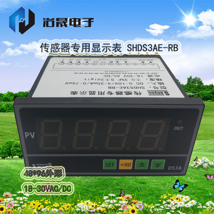 DS3AE-RB24V供电质保传感器显示