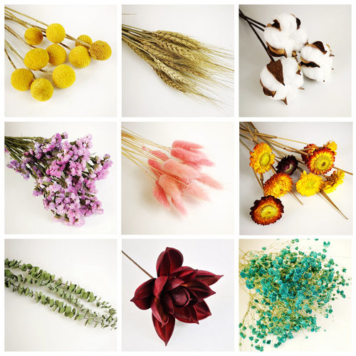 ins网红干花花束装饰北欧永生花