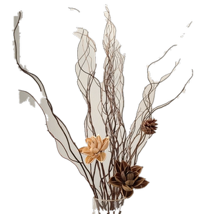干支龙柳干花树枝高级感侘寂风天然禅意民宿客厅插花干枝装饰摆件