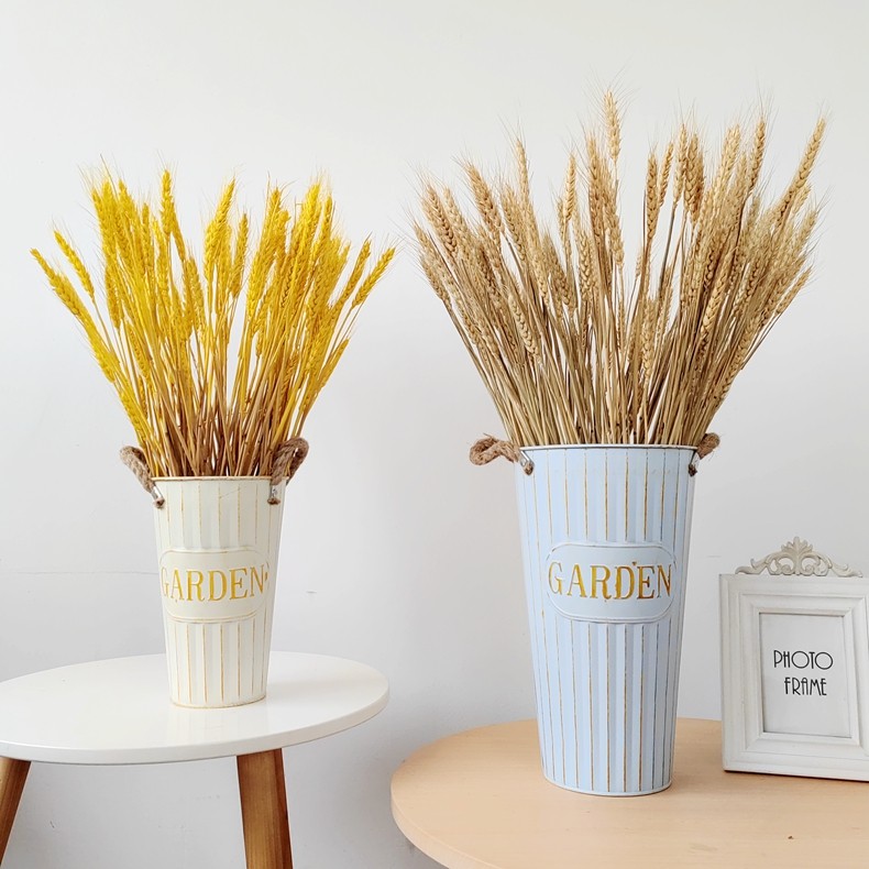天然麦穗大麦干花带花瓶家居客厅摆件真花风干花束开业大卖插花,鲜花速递/花卉仿真/绿植园艺,干花,淘宝优惠券,粉丝福利购,淘宝优惠卷