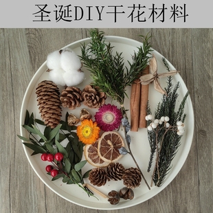 饰花 短枝松果真植物标本相框贺卡花环胸花装 圣诞DIY干花材料