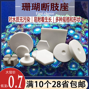 纽扣基座断枝座断肢T型托盘sps海水珊瑚架繁殖陶瓷底座厂家直销