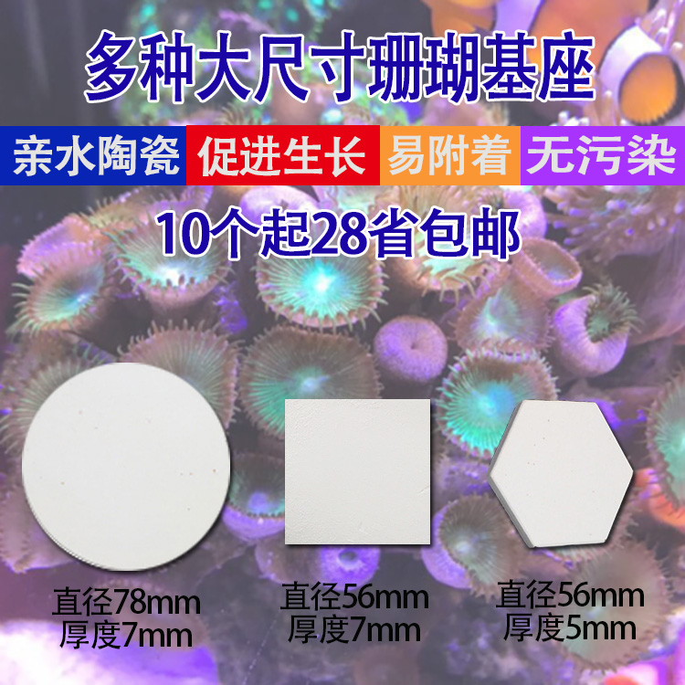 大尺寸海水珊瑚断枝座纽扣繁殖座珊瑚陶瓷底座分枝基座sps lps座 宠物/宠物食品及用品 造景/装饰 原图主图