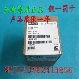 议价6EP1961-2BA41西门子SITOP选择性模块PSE200U 10A 6EP19612BA