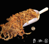 食虫植物 新手推荐 兰花专用基质 5星级智利进口水苔