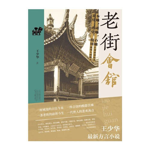 【官方自营】老街会馆 王少华 著 认识真实的开封古建筑与真实的开封当代人 河南文艺出版社旗舰店正版
