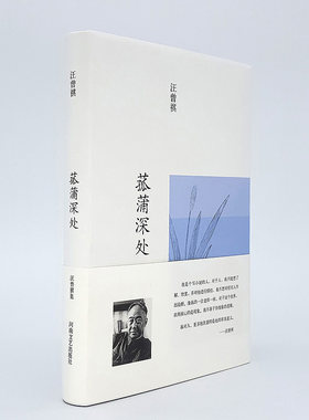 菰蒲深处 汪曾祺 著 河南文艺出版社官方自营