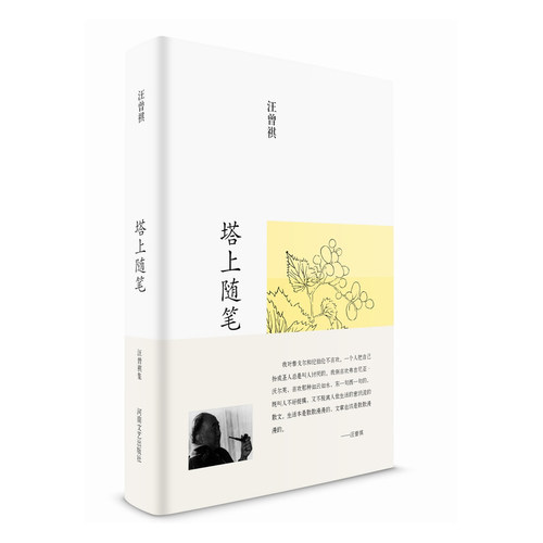 汪曾祺集 塔上随笔