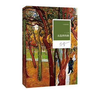 未选择的路 宁肯 著 小说家的散文系列丛书 河南文艺出版社官方自营