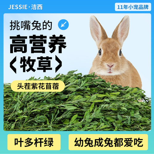 洁西25年新草苜蓿草兔子干草饲料