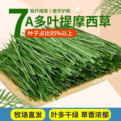 提摩西草段晒干兔草兔子粮