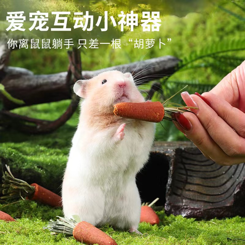 仓鼠磨牙棒粮食金丝熊龙猫可食用