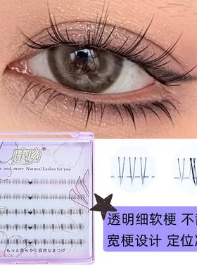 小野猫太阳花下睫毛睫吻