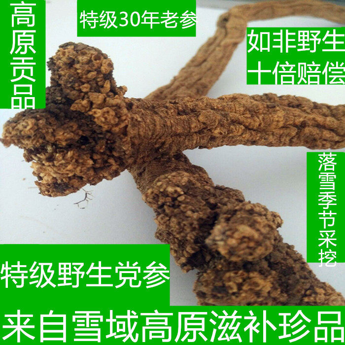 高原牧民采挖特级野生党参纯天然精选潞党野党参狮子头500克包邮|msdalam kategori makanan berkhasiat tradisional, Lain tonik tradisional, Dangshen - dari Buy2taobao.com untuk memberikan perkhidmatan ejen Taobao profesional membeli