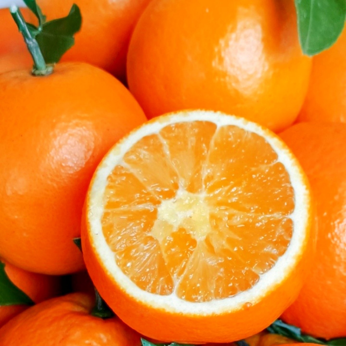 当季蜜甜可口纯甜蜂蜜橙