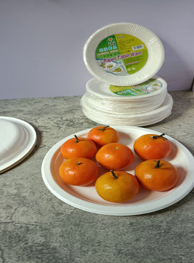一次性纸盘可降解材料甘蔗纸降品质白色圆形儿童绘画画涂鸦蛋糕盘