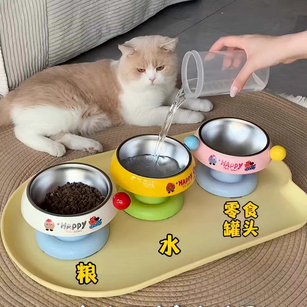 高颜值多巴胺猫碗不锈钢猫粮碗加高底座护颈防打翻狗狗喝水宠物碗