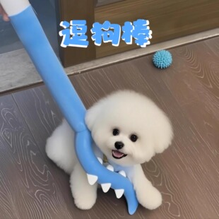 狗狗毛绒玩具讨伐棒插狗棒耐咬比熊泰迪逗狗棒宠物解闷逗狗神器