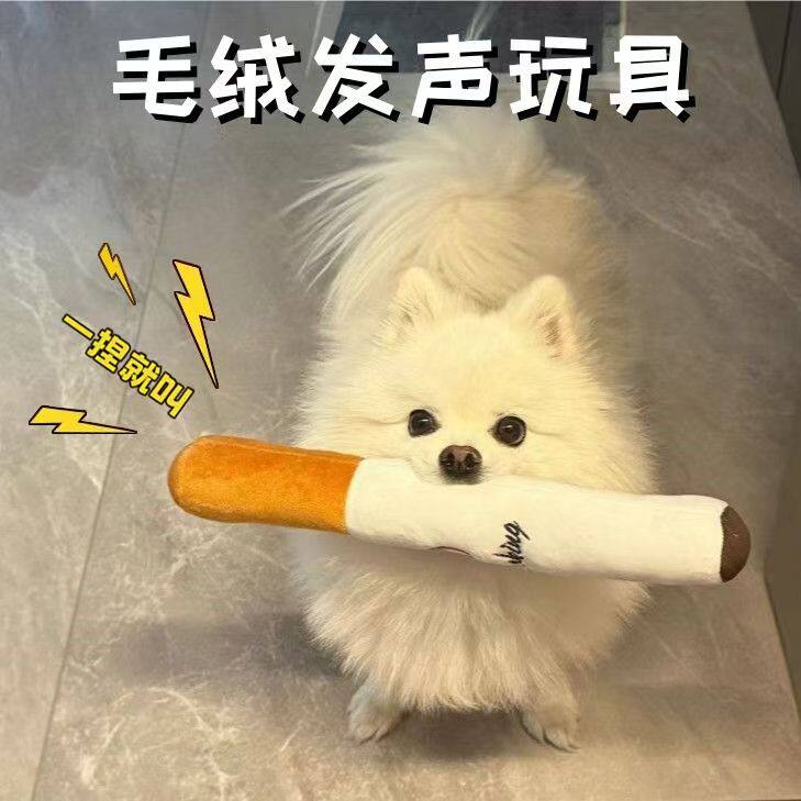 狗狗华子造型宠物玩具毛绒耐咬磨牙解闷神器小狗泰迪比熊宠物用品