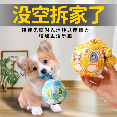 狗狗独角球带绳结磨牙棒耐咬解闷神器宠物玩具小狗边牧大型犬幼犬