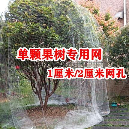 单颗果树专用防鸟网嘉宝果树网樱桃葡萄梨树防鸟用的网果树防小鸟