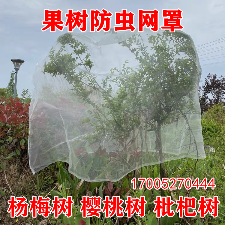 果树防虫网樱桃枇杷杨梅网罩果树防鸟的网防果蝇网蔬菜大棚防虫网