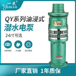 上海一民铸铁新款工程降水农用灌溉油浸泵高扬程大流量电动抽水泵