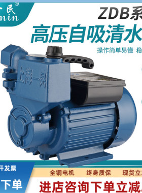 上海新款一民370W家用增压泵自来铸铁水高压吸水泵井水井自吸泵