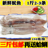 海鲜水产鲜活鱿鱼新鲜大鱿鱼冷冻鲜鱿鱼鱿鱼须尤鱼鱿鱼头烧烤