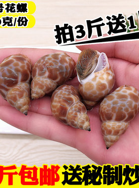 鲜活冷冻贝类东风螺