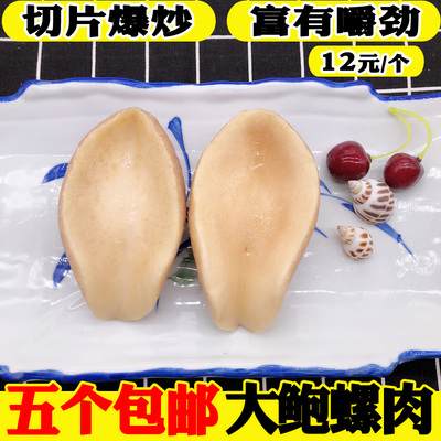新鲜冷冻贝类鲍螺肉包邮