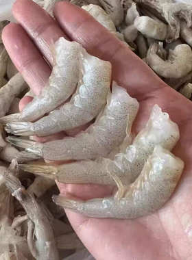 野生羊毛虾尾小白虾宝宝辅食去头海虾3斤/箱
