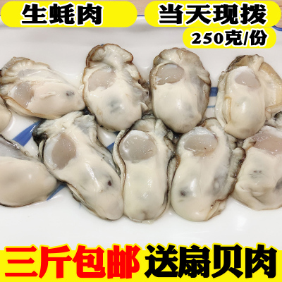 海鲜生蚝新鲜生蚝肉鲜活现拨