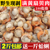 新鲜扇贝肉冷冻扇贝肉开袋即食蒜蓉粉丝虾夷扇贝海鲜鲜活贝类水产