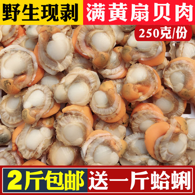 新鲜扇贝肉冷冻扇贝肉蒜蓉粉丝