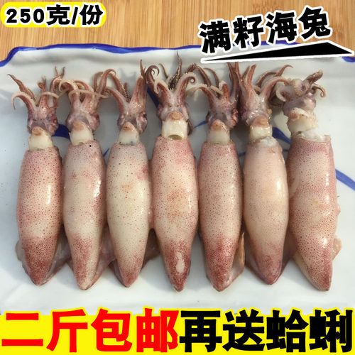 新鲜带籽墨鱼乌贼包邮海兔子
