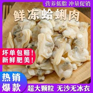 花甲肉蛤蜊肉文蛤贝壳肉嘎啦肉海产无沙黄蚬子蛤新鲜净重