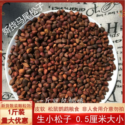 非人吃颗粒小松鼠口粮鹦鹉食
