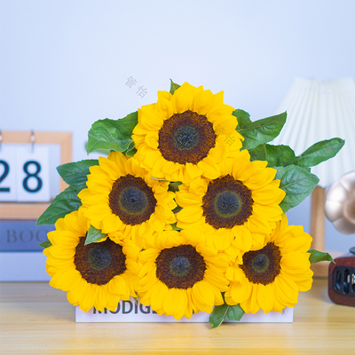 向日葵鲜花云南基地直发水养鲜花