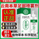 云南本草脚气喷剂官方旗舰店正品 止脱皮痒真菌除臭泡脚出汗3dq