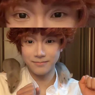 料理鼠王cos美瞳半年抛大直径自然高还原隐形眼镜一年抛带度数9tb