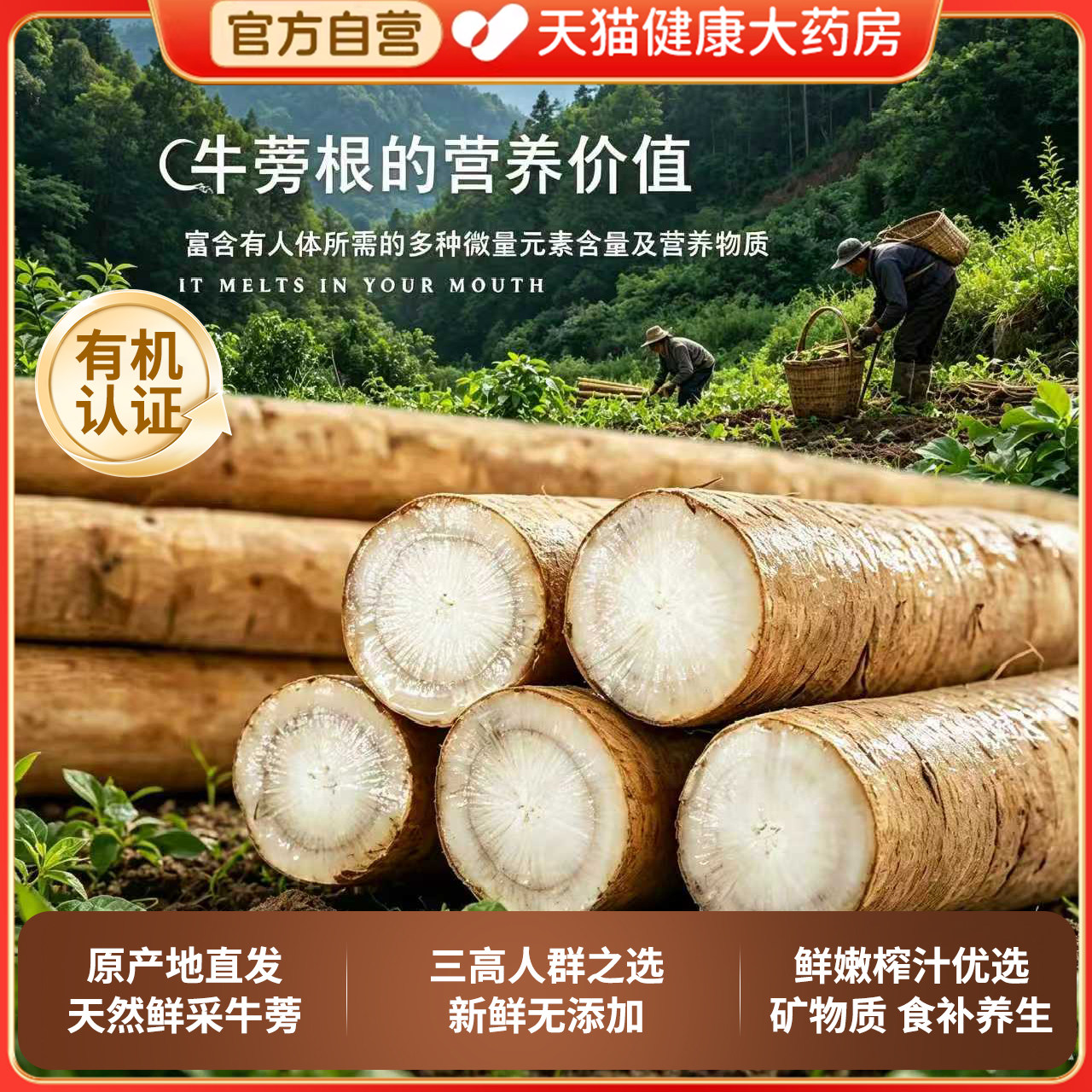 新鲜5斤牛蒡果汁根牛蒡榨汁黄金牛蒡原浆养生有机中药材旗舰店gh