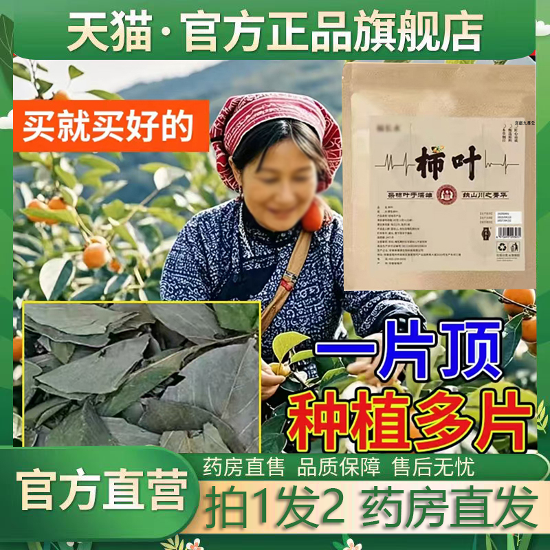 野生柿子叶官方旗舰店正品直播同款药房直售鲜摘柿叶晒干用6jk