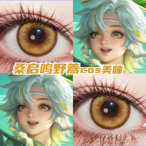 桑启鸣野蒿cos美瞳还原显色王者荣耀漫展小大直径近视隐形眼镜hx
