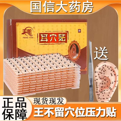 王不留行籽穴位贴耳贴中医耳穴压丸耳豆贴探棒耳朵模型穴位贴6zk