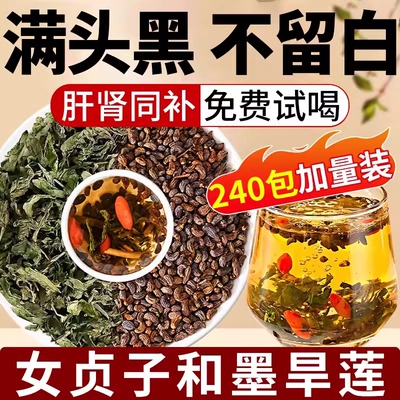 女贞子和墨旱莲各10克泡茶喝养发乌发组合官方旗舰店茶中材药房bp