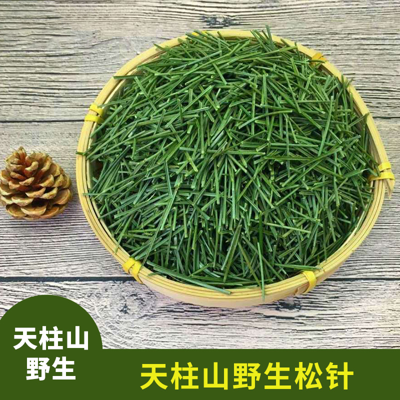 野生马尾松针茶叶松叶松毛阴干全松茶包泡水特级纯松针叶新品包邮